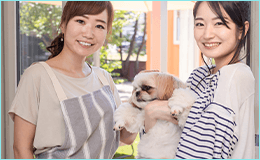 カウンセリングを行います