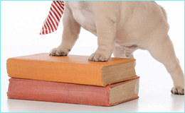 コースを決めます