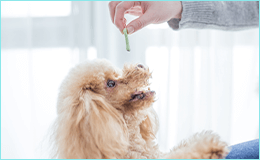 トレーニング開始