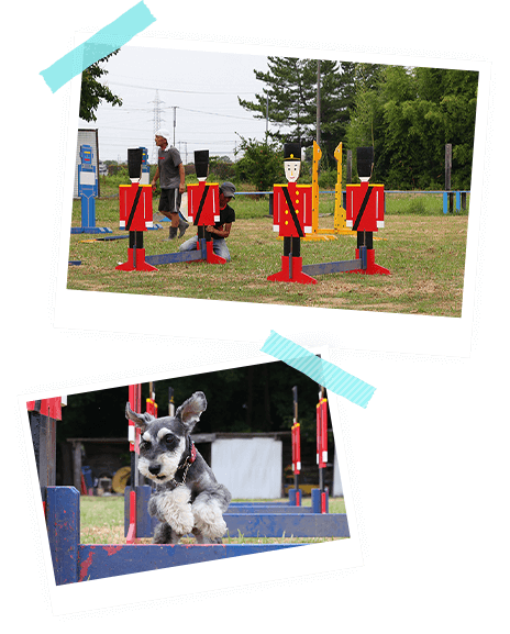 会社概要イメージ