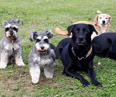 トレーナー紹介イメージ