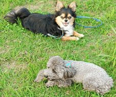 トレーナー紹介イメージ