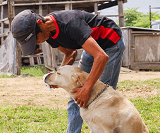 トレーナー紹介イメージ