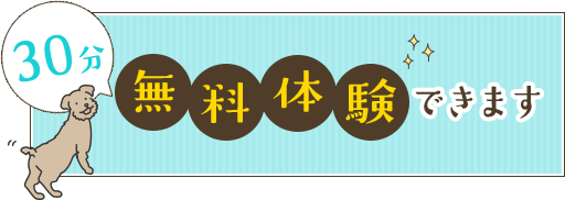 30分無料体験できます！