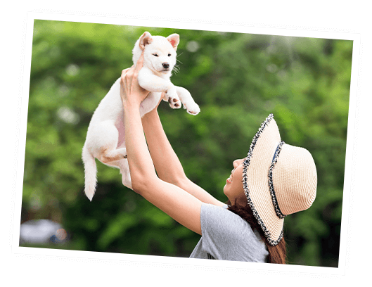 \　パピー専用　/しつけ・トレーニング