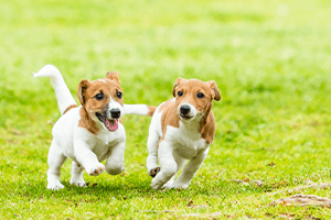 広大な施設でレッスン