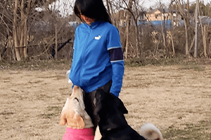 トレーナー歴26年のベテラン