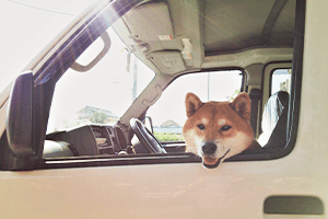 出張＆訪問レッスンもございます