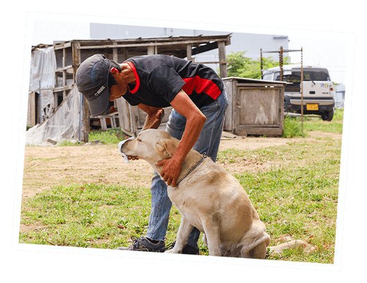 しつけ・トレーニング