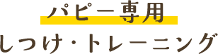 \　パピー専用　/しつけ・トレーニング