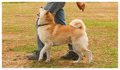 トレーニング内容イメージ