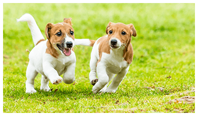 トレーニング内容イメージ